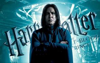 斯内普漫画,揭秘霍格沃茨的神秘面纱